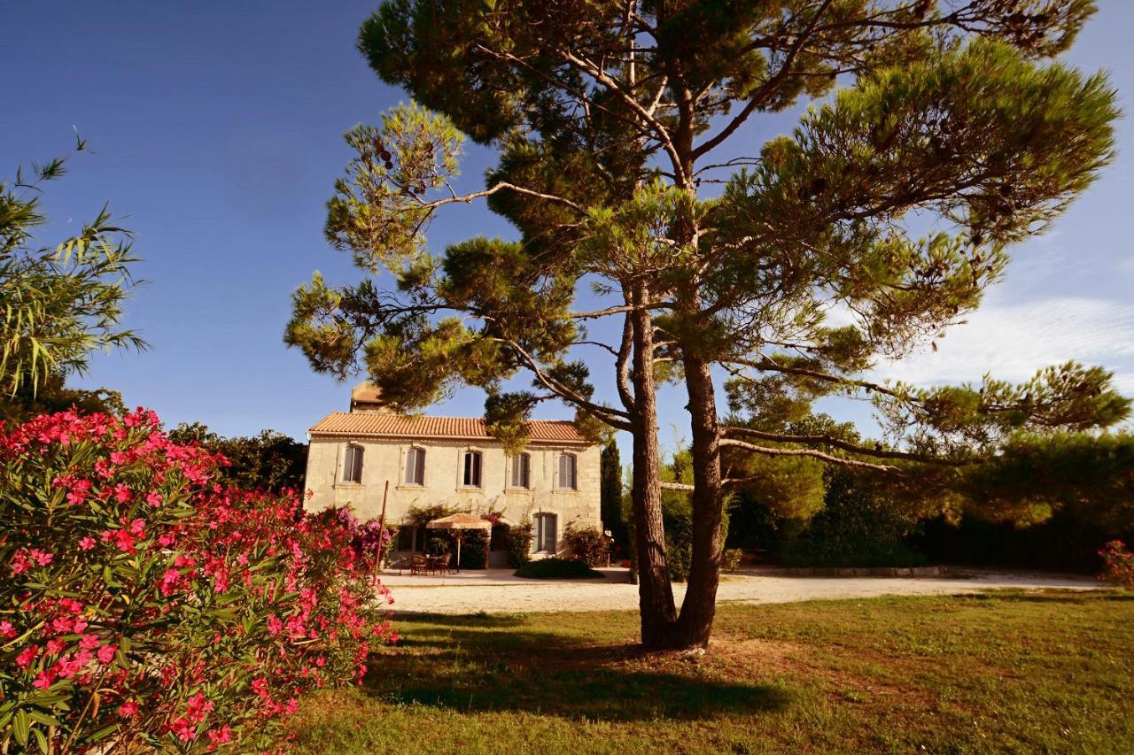Maison Tara Verte Au Mas Montredon Арл Екстериор снимка