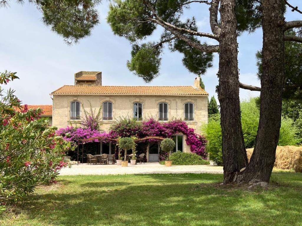 Maison Tara Verte Au Mas Montredon Арл Екстериор снимка